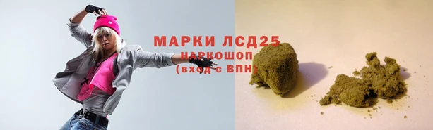 СК Армянск
