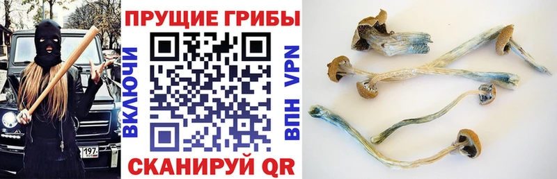KRAKEN Кубинка Галлюциногенные грибы мухоморы